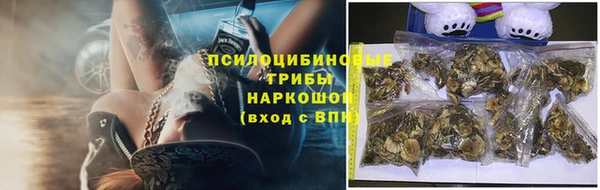 бошки Инсар