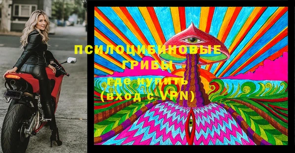 бошки Инсар