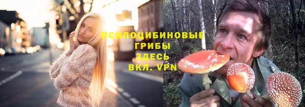кристаллы Инта
