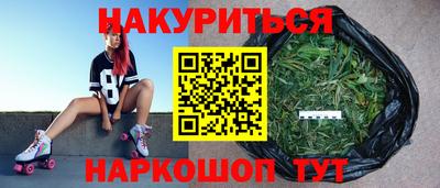сатива Жуковский