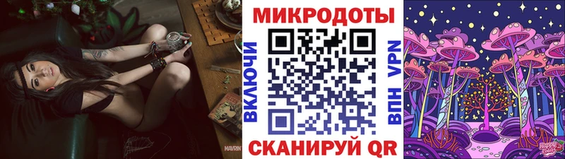 закладка  Славгород  Галлюциногенные грибы Psilocybe 