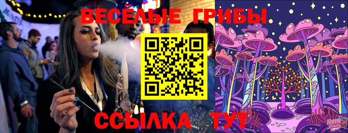 Псилоцибиновые грибы Cubensis  Вход с VPN  Славгород 