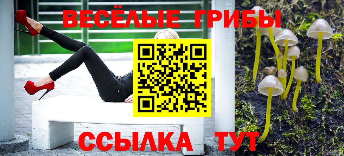 Псилоцибиновые грибы Cubensis Славгород