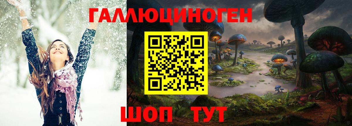 Галлюциногенные грибы Psilocybine cubensis  Псилоцибиновые грибы MAGIC MUSHROOMS  Славгород 