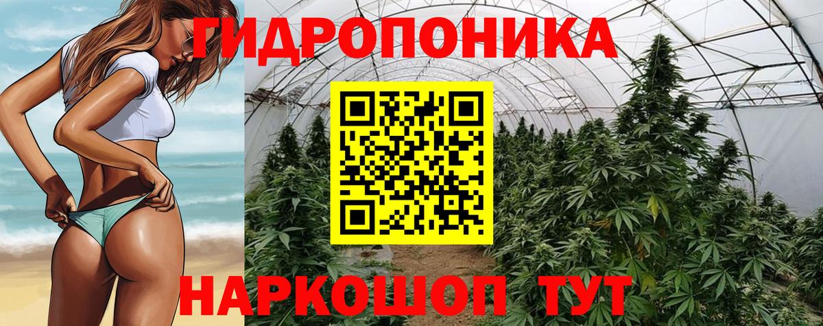 Бошки марихуана планчик Славгород